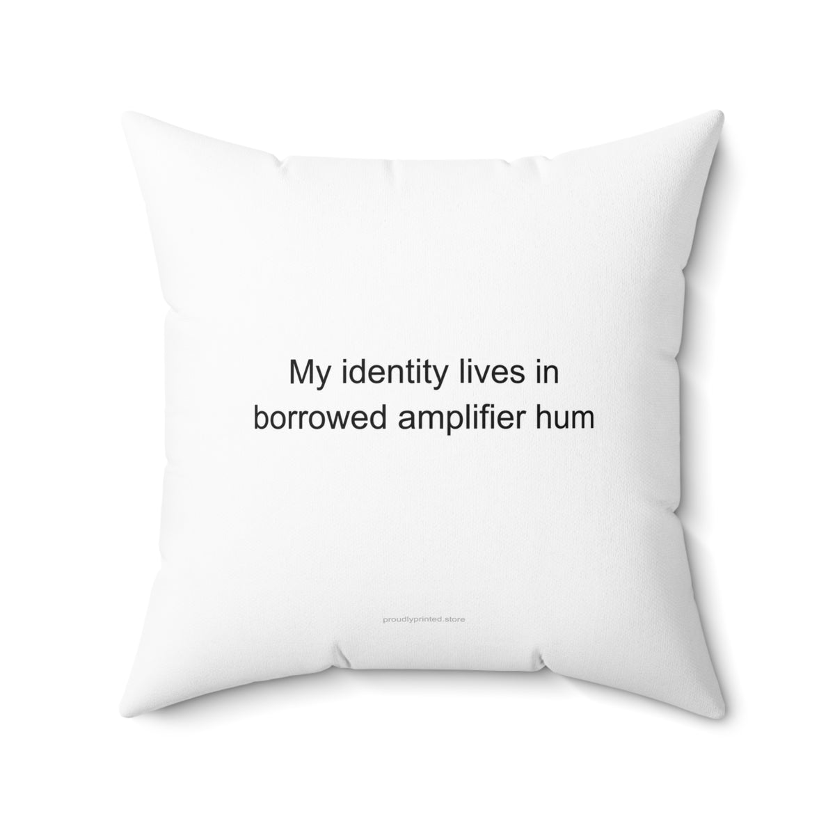 Session Musician Identity Pillow | Funny Gift for Studio Players